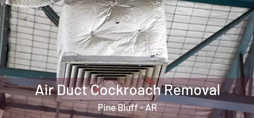  Air Duct Cockroach Removal Pine Bluff - AR