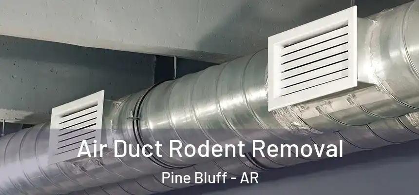  Air Duct Rodent Removal Pine Bluff - AR