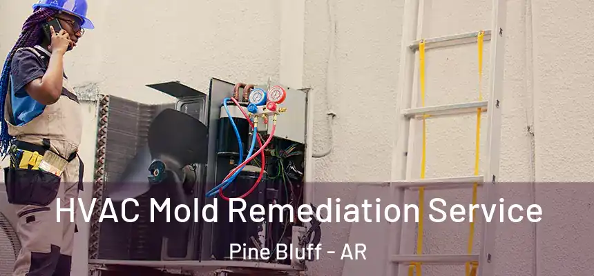  HVAC Mold Remediation Service Pine Bluff - AR