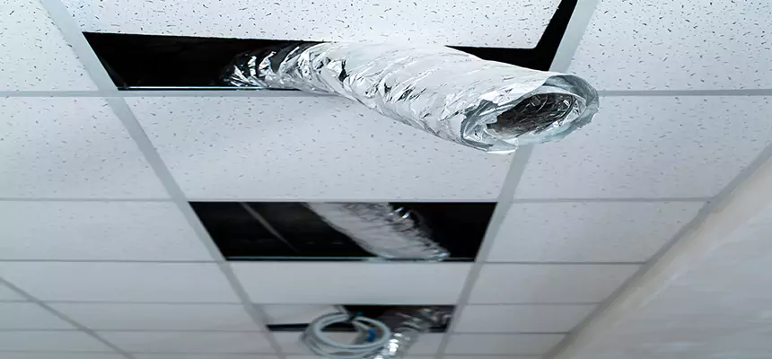 Affordable HVAC Sanitizing After Pest Removal in Pine Bluff