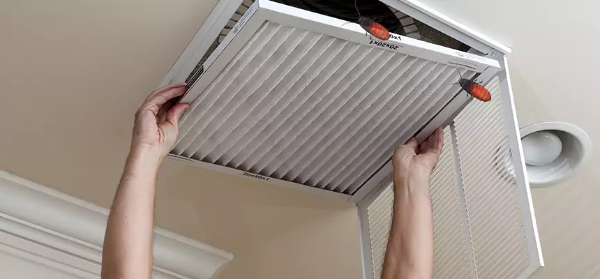 Our Insect Removal from Air Ducts Services in Pine Bluff, AR
