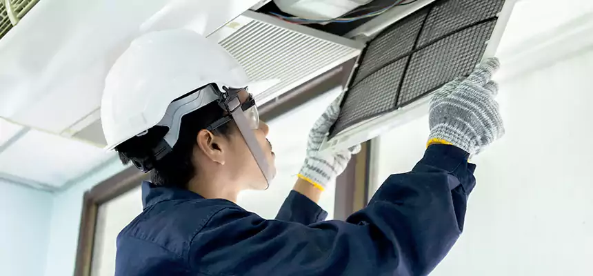 Our Mold & Mildew Removal from Air Ducts Services in Pine Bluff, AR