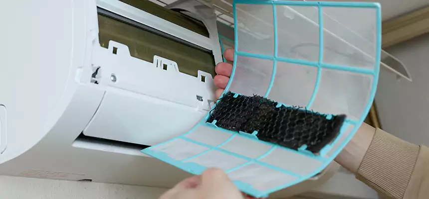 Gentle Ductwork Odor-Control Pet Dander Duct Cleaning in Pine Bluff, AR