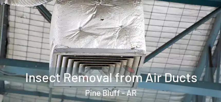  Insect Removal from Air Ducts Pine Bluff - AR