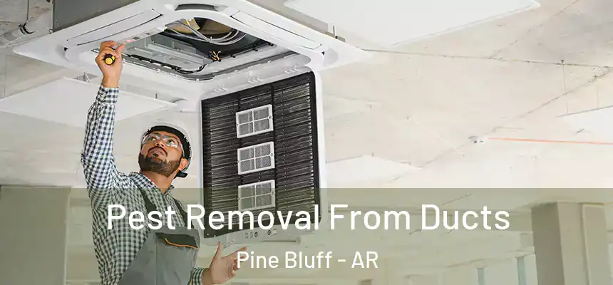 Pest Removal From Ducts Pine Bluff - AR