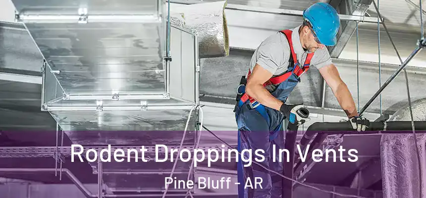  Rodent Droppings In Vents Pine Bluff - AR