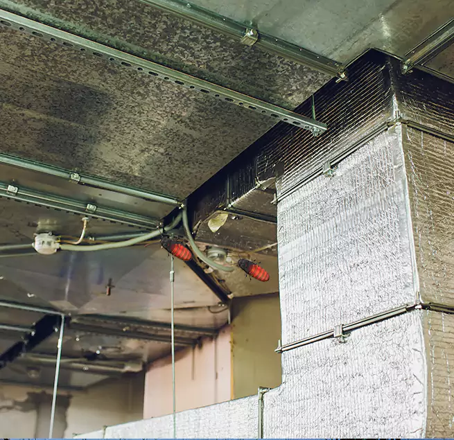 Why Homeowners & Businesses Trust Us in Pine Bluff, AR?