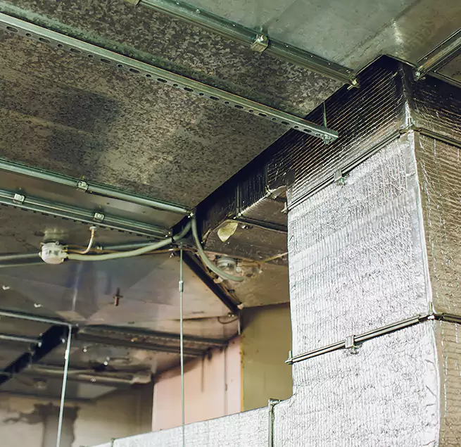 Why Homeowners & Businesses Trust Us in Pine Bluff, AR?